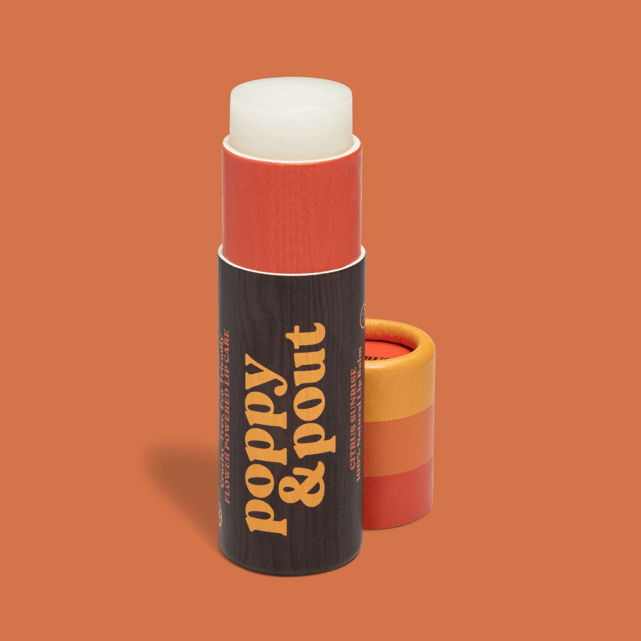 Retro Surf, Citrus Sunrise Chapstick