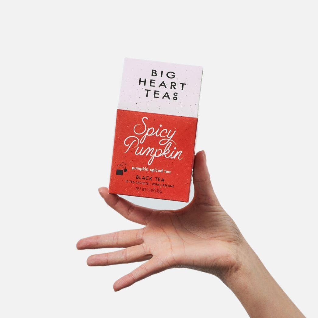 Spicy Pumpkin 10 Ct Tea Bags