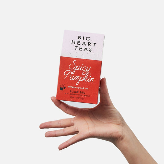 Spicy Pumpkin 10 Ct Tea Bags
